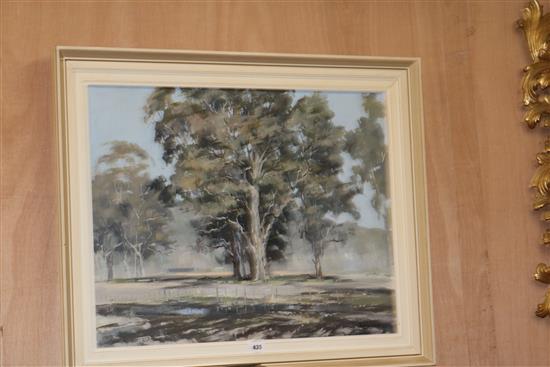 Peter Williams (1934-), oil on board, trees in a landscape, signed and dated 1966, 58 x 74cm